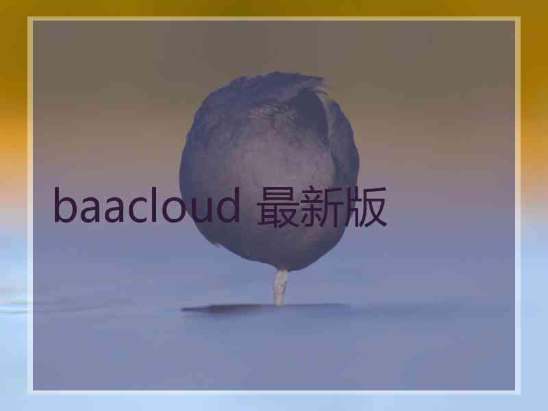 baacloud 最新版