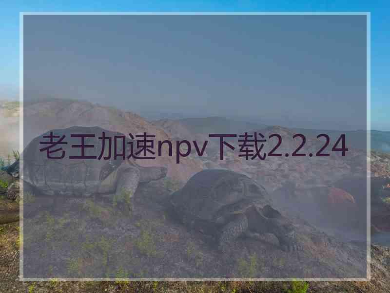 老王加速npv下载2.2.24