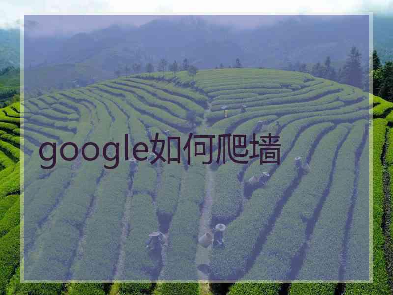 google如何爬墙