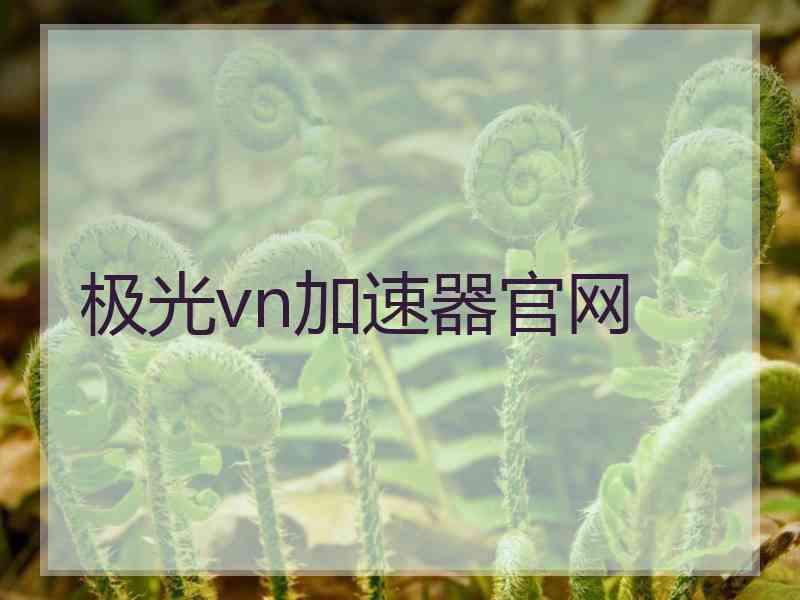 极光vn加速器官网