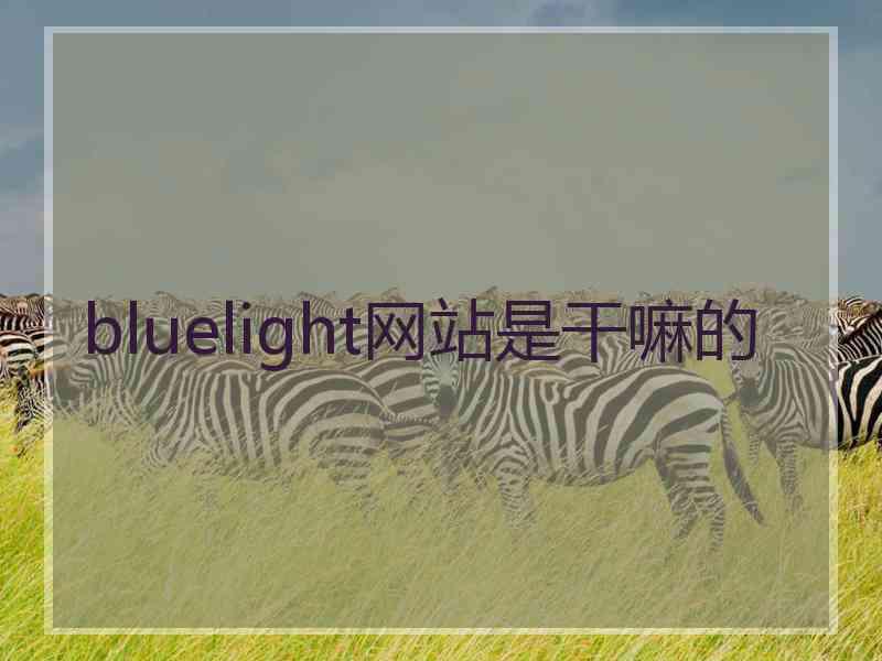 bluelight网站是干嘛的