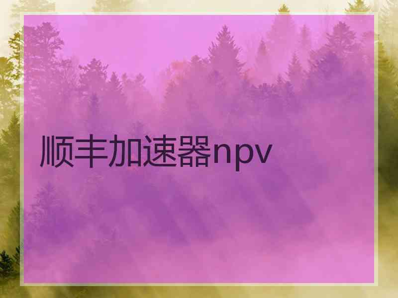 顺丰加速器npv