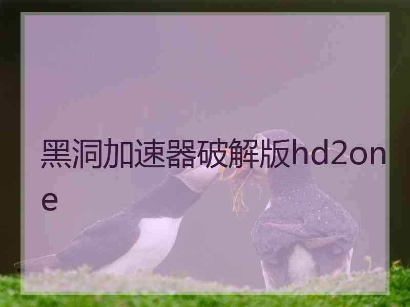 黑洞加速器破解版hd2one