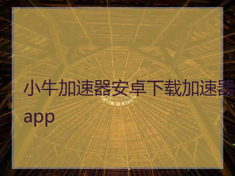 小牛加速器安卓下载加速器app