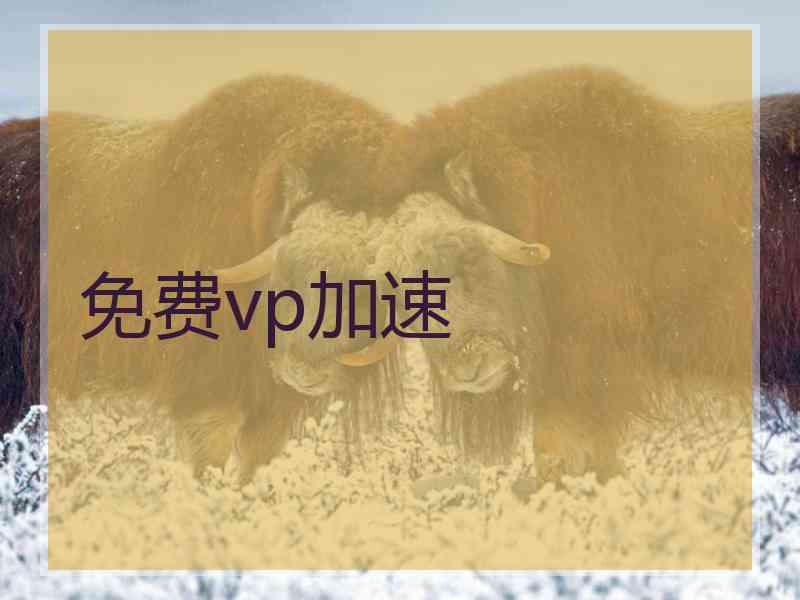 免费vp加速