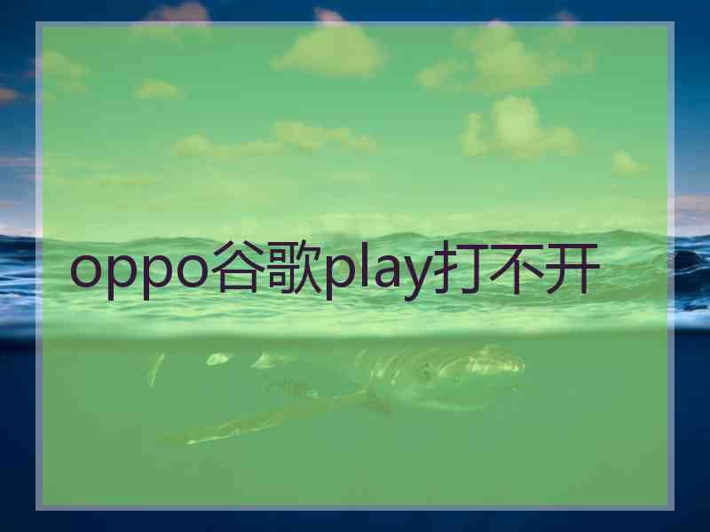 oppo谷歌play打不开