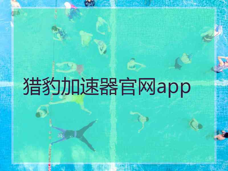 猎豹加速器官网app