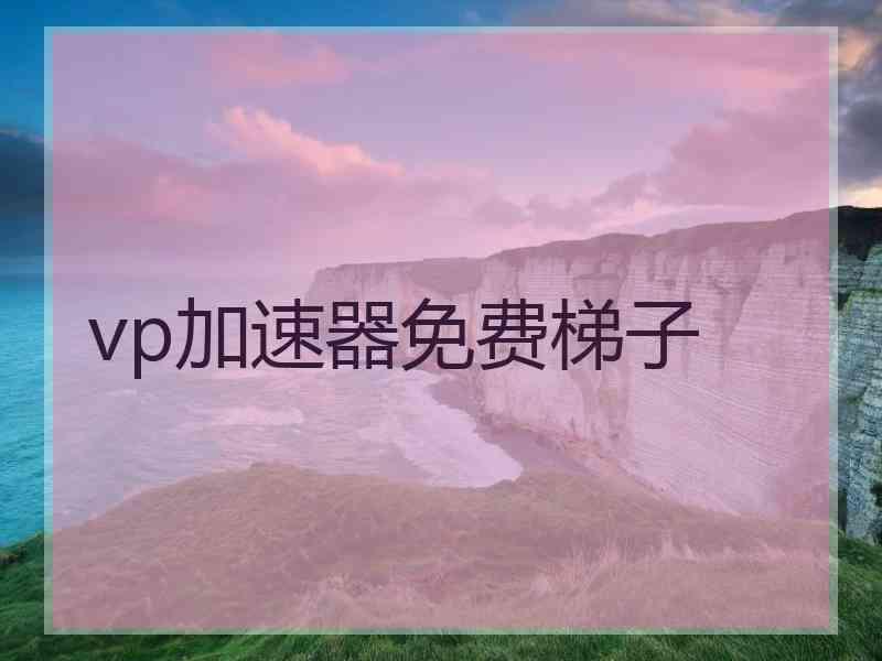 vp加速器免费梯子