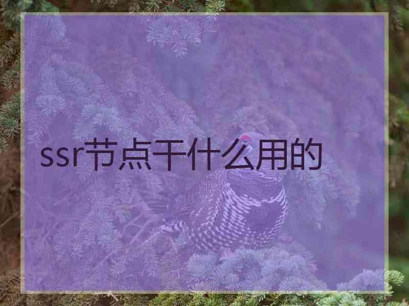 ssr节点干什么用的