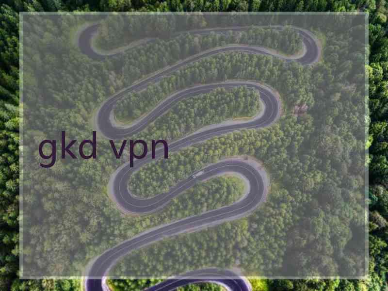 gkd vpn