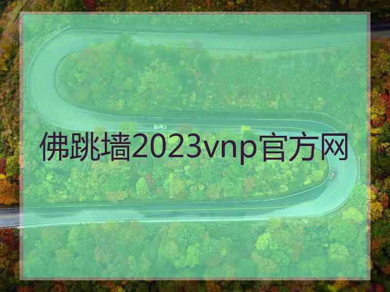 佛跳墙2023vnp官方网