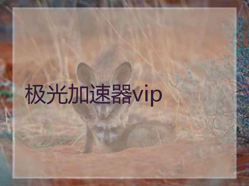 极光加速器vip