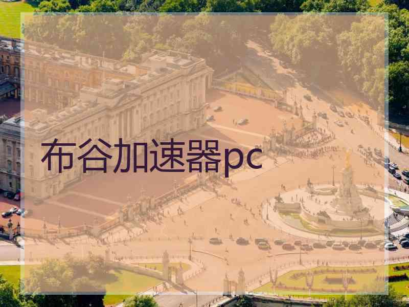 布谷加速器pc