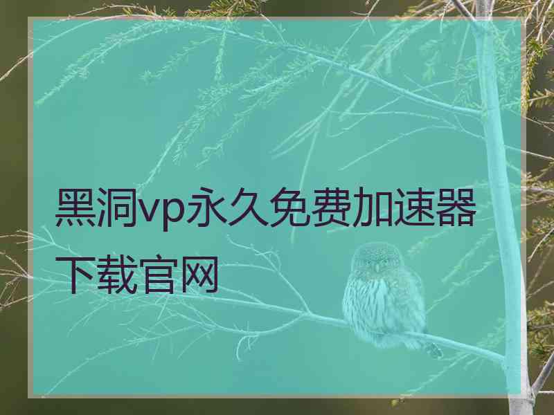 黑洞vp永久免费加速器下载官网