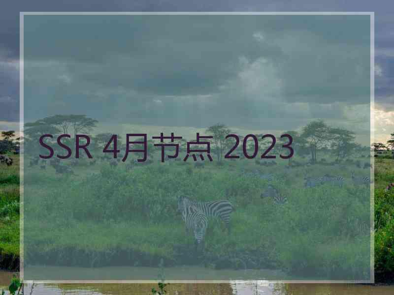 SSR 4月节点 2023