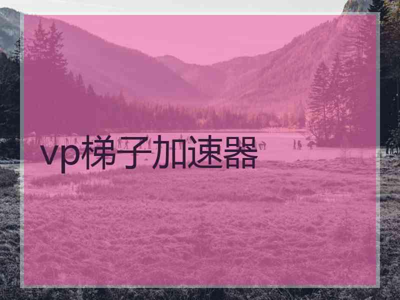 vp梯子加速器