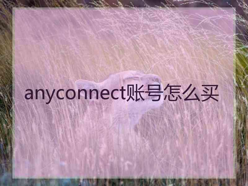 anyconnect账号怎么买