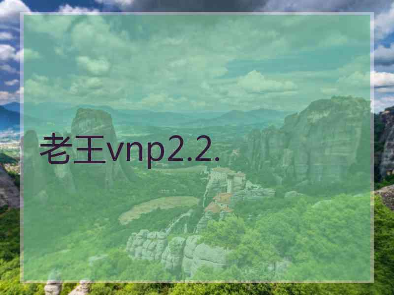 老王vnp2.2.