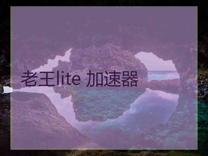 老王lite 加速器