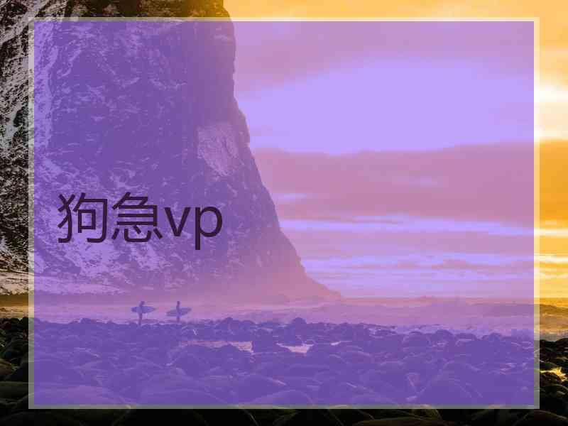 狗急vp