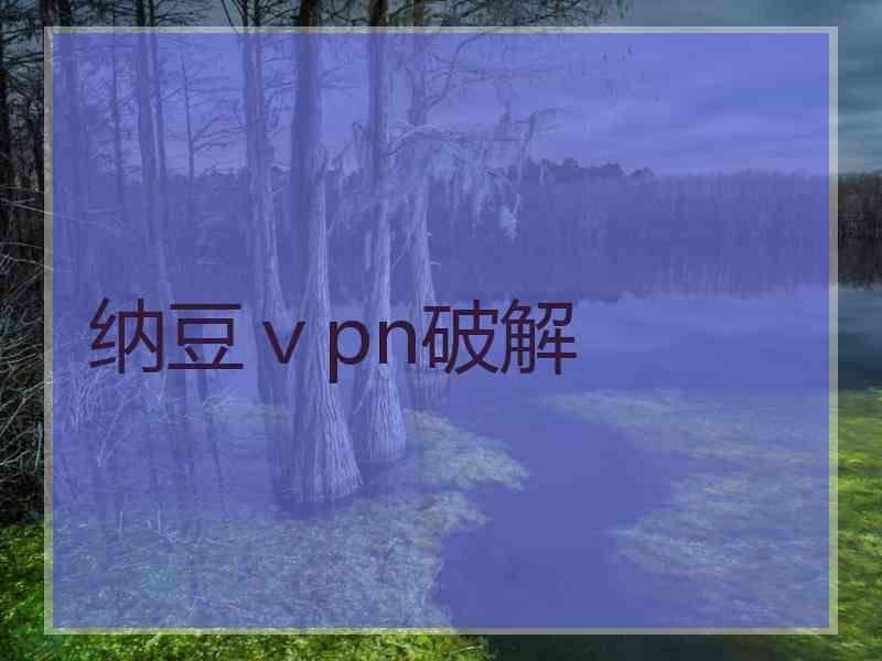 纳豆ⅴpn破解