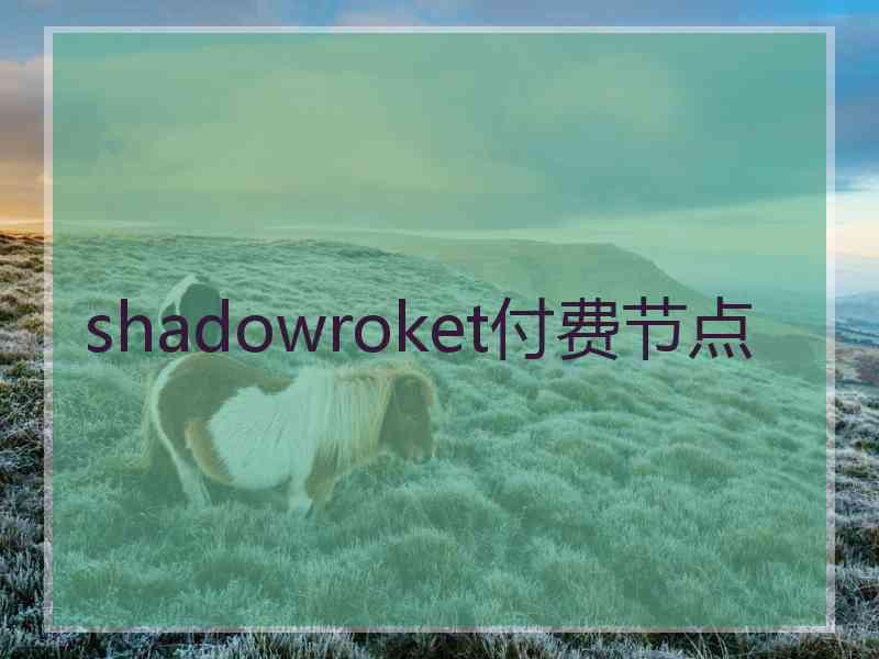 shadowroket付费节点