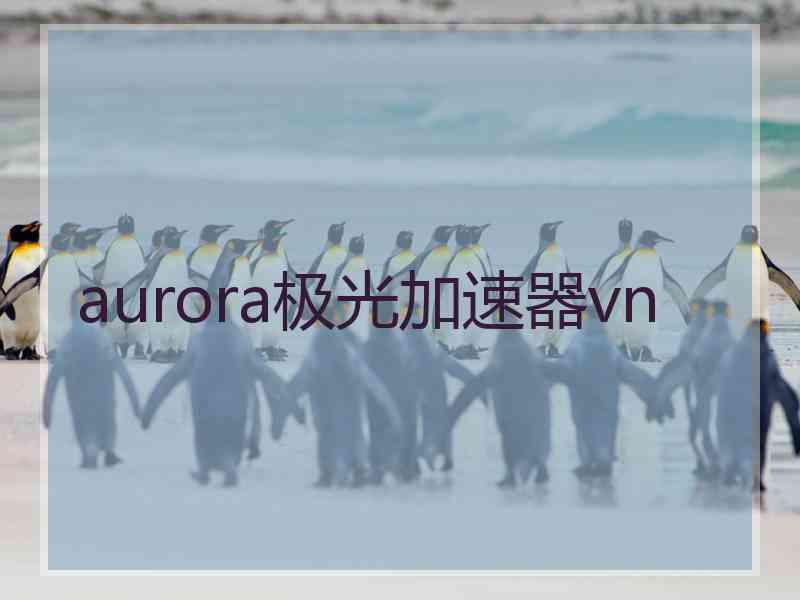 aurora极光加速器vn