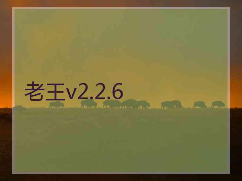 老王v2.2.6