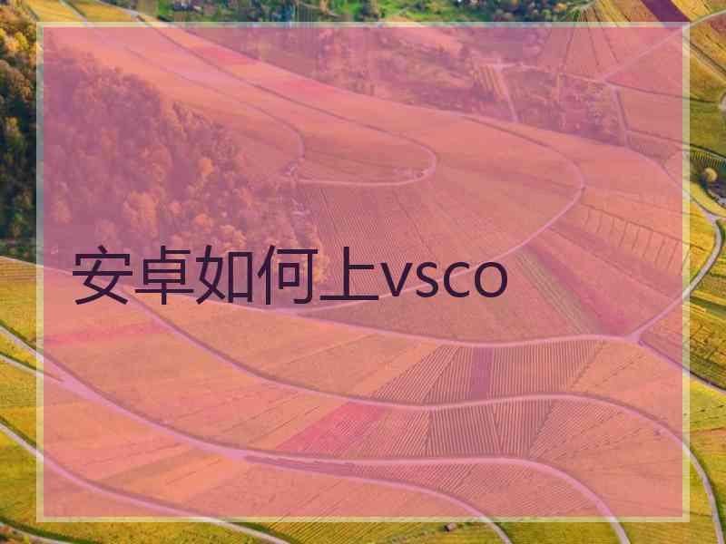 安卓如何上vsco