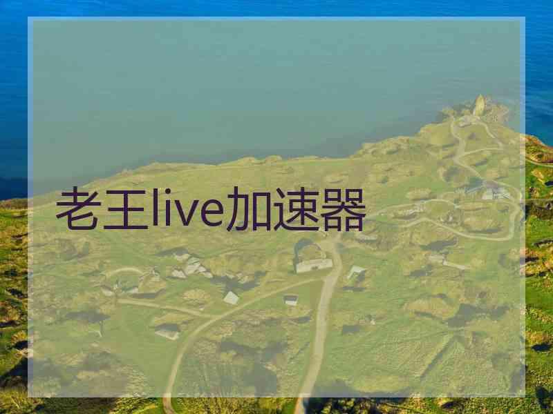 老王live加速器