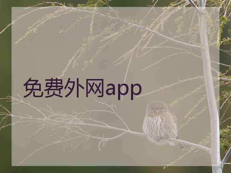 免费外网app