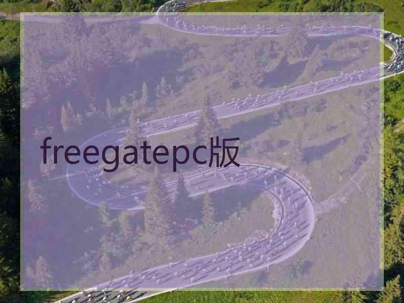 freegatepc版