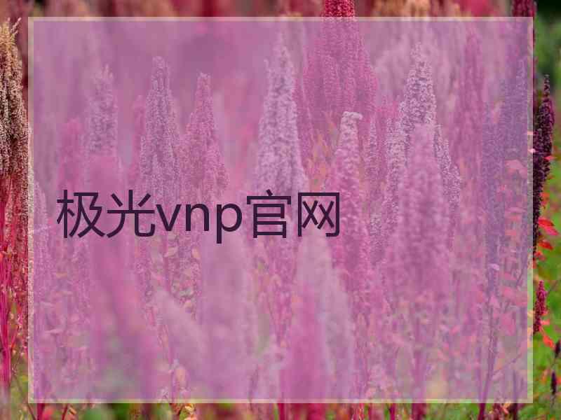 极光vnp官网