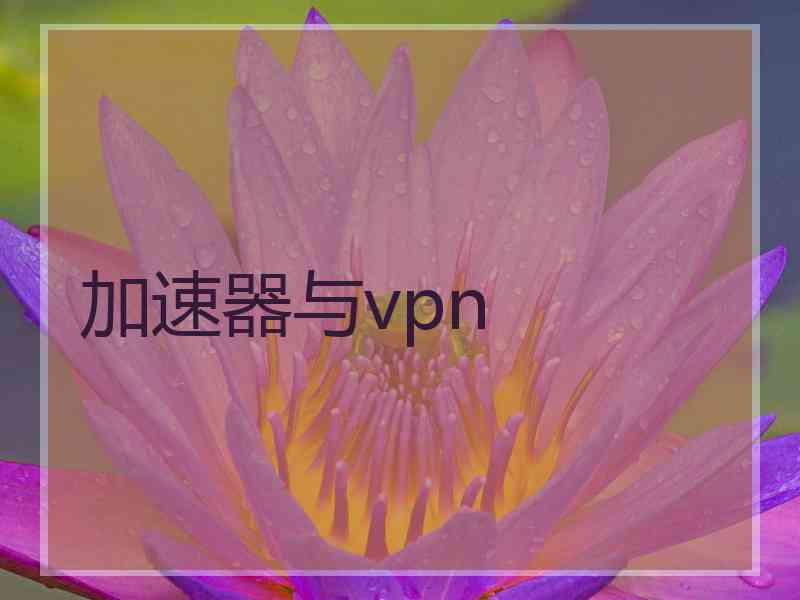 加速器与vpn