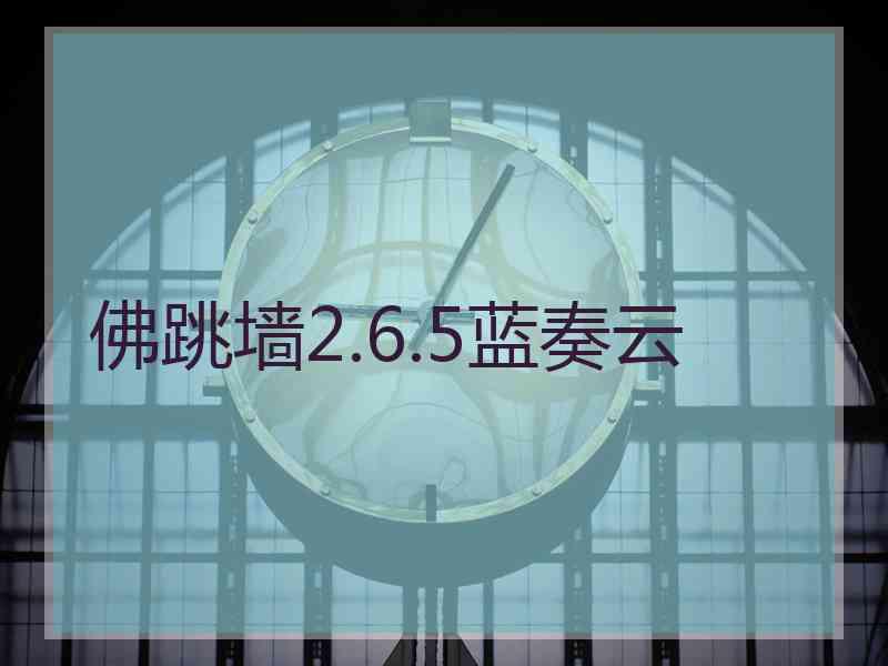 佛跳墙2.6.5蓝奏云