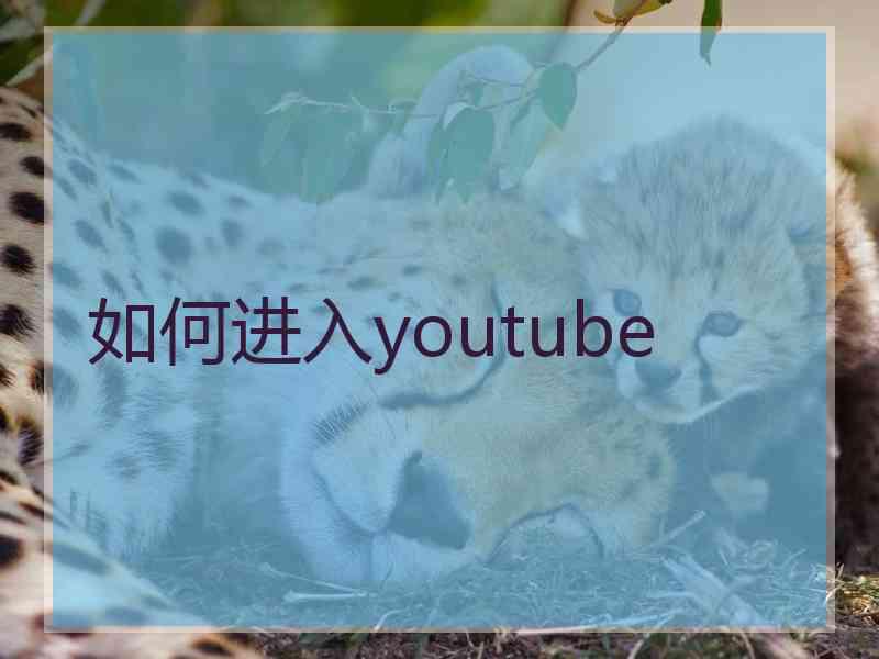 如何进入youtube