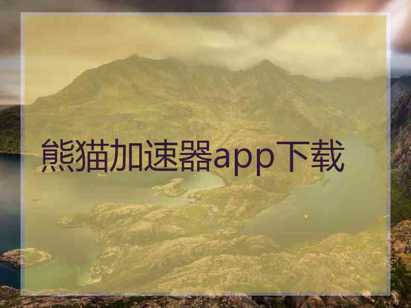 熊猫加速器app下载