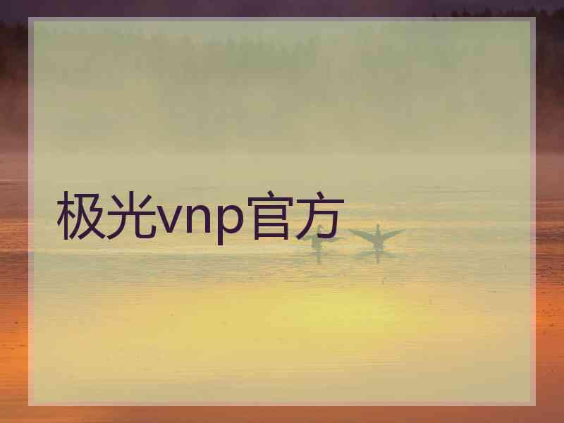 极光vnp官方