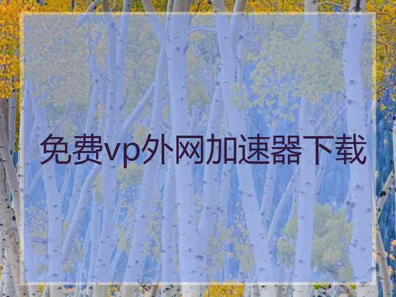 免费vp外网加速器下载