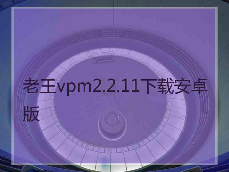 老王vpm2.2.11下载安卓版