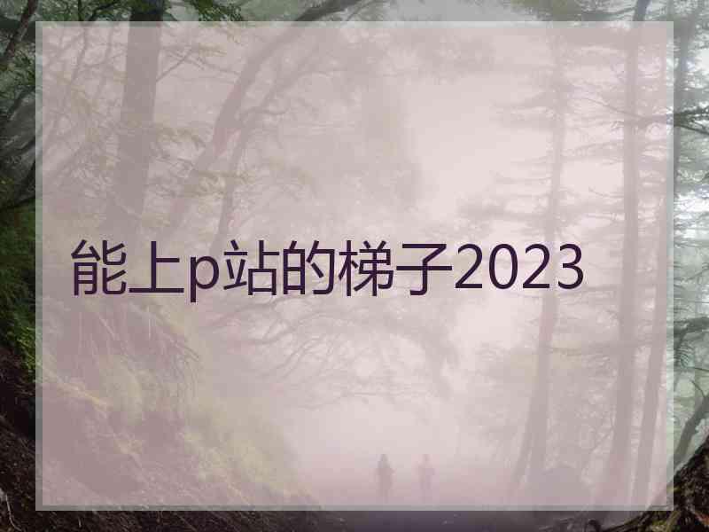 能上p站的梯子2023