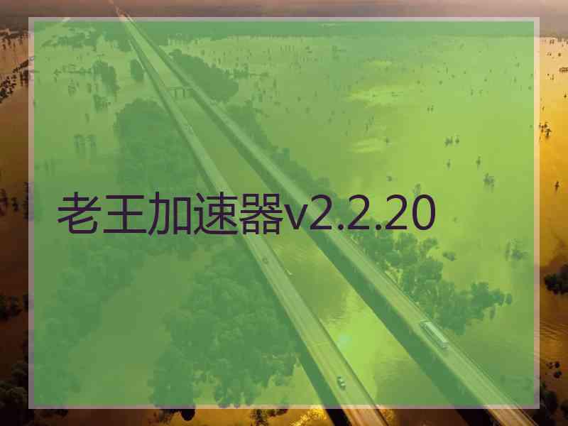 老王加速器v2.2.20