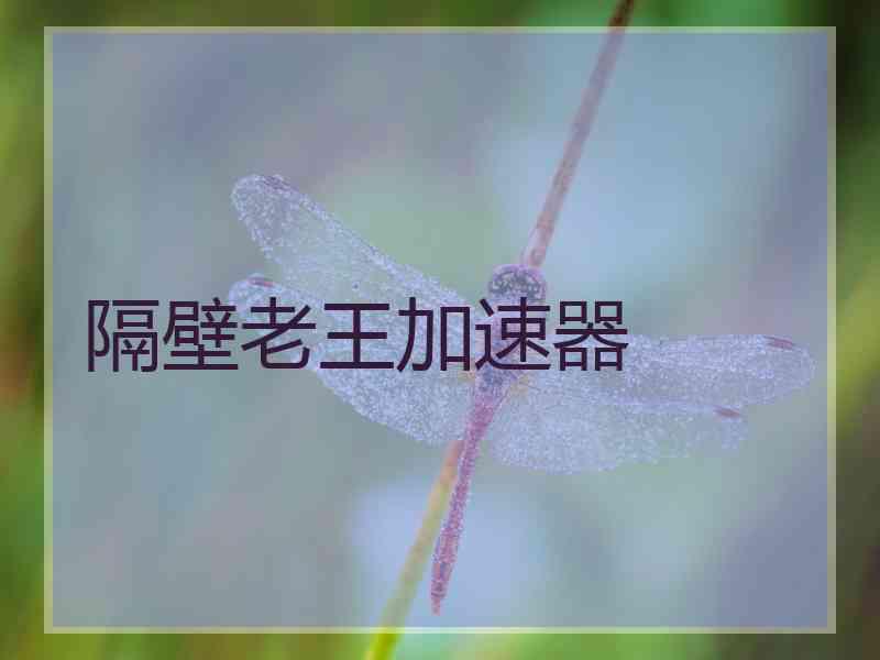 隔壁老王加速器