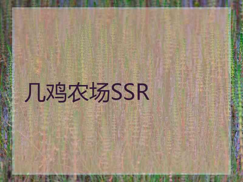 几鸡农场SSR