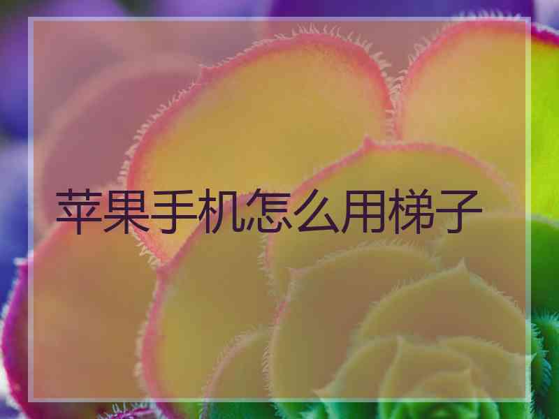 苹果手机怎么用梯子