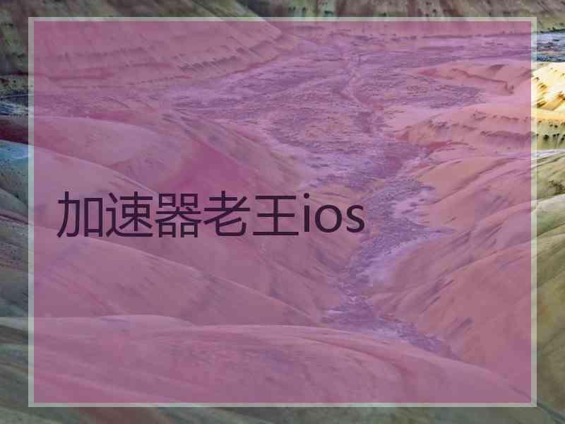 加速器老王ios