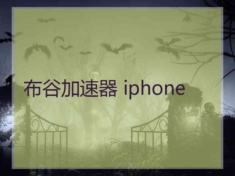 布谷加速器 iphone