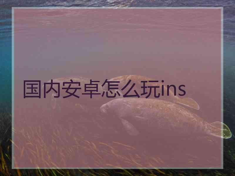 国内安卓怎么玩ins