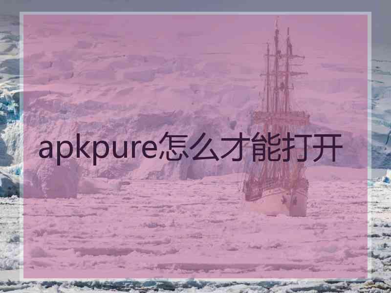 apkpure怎么才能打开