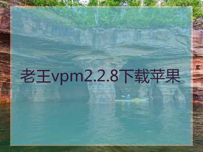 老王vpm2.2.8下载苹果